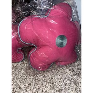 NWT Birch Lane Pillows‎ Set Of 2 Pink